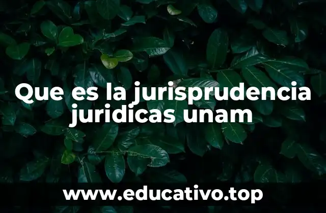 Que es la jurisprudencia juridicas unam