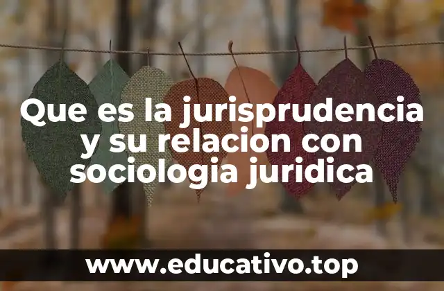 Que es la jurisprudencia y su relacion con sociologia juridica