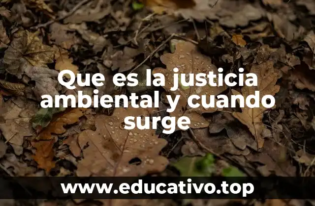 Que es la justicia ambiental y cuando surge
