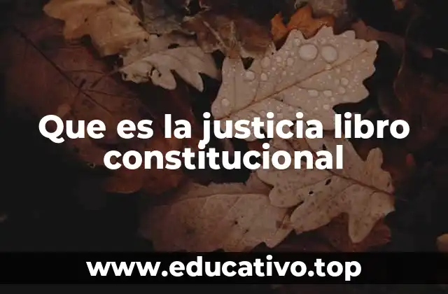Que es la justicia libro constitucional