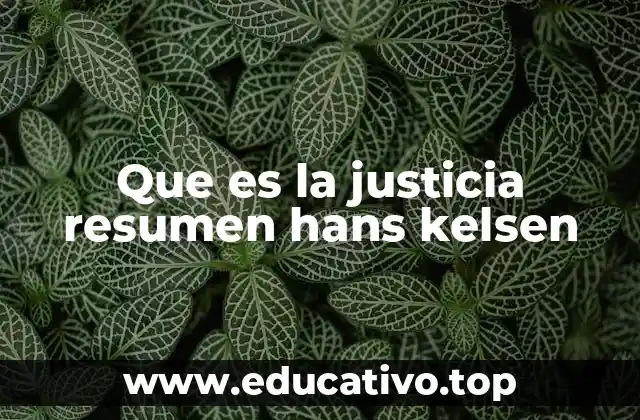 Que es la justicia resumen hans kelsen