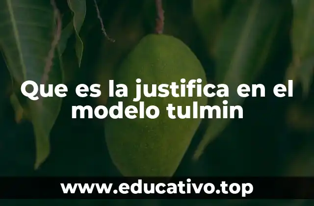 Que es la justifica en el modelo tulmin