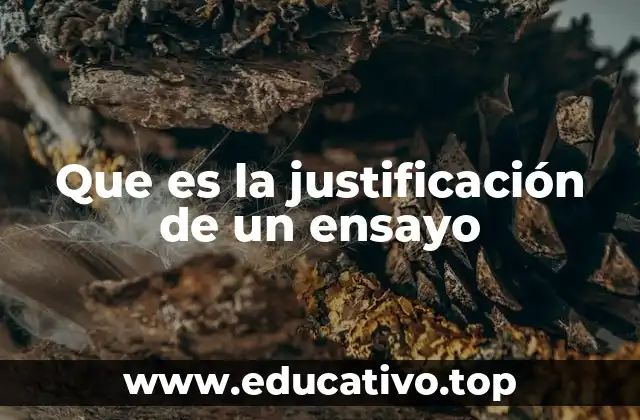 Que es la justificación de un ensayo