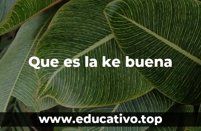 Que es la ke buena