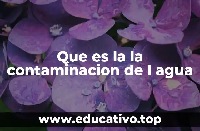 Que es la la contaminacion de l agua