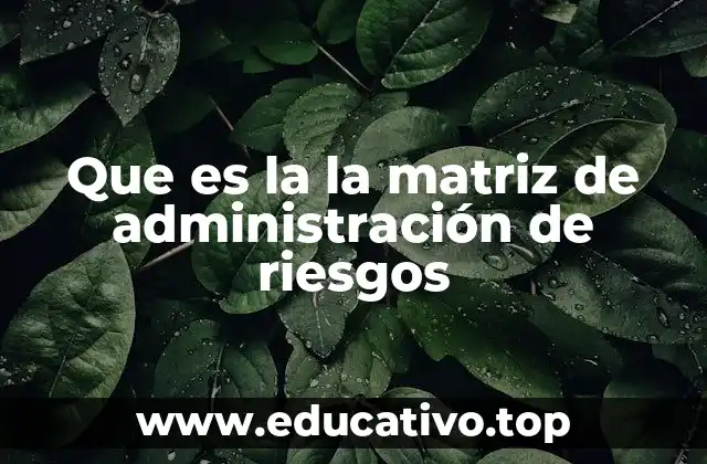 Que es la la matriz de administración de riesgos