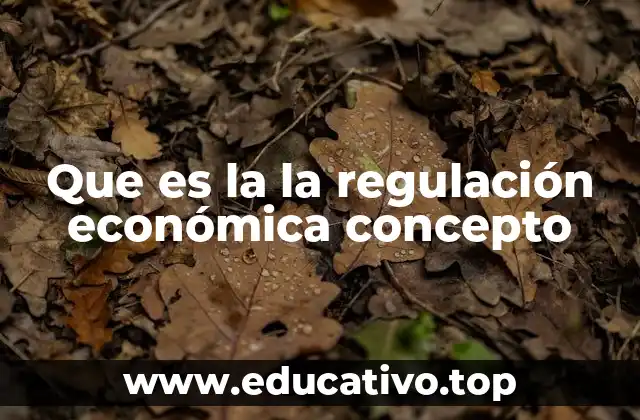Que es la la regulación económica concepto