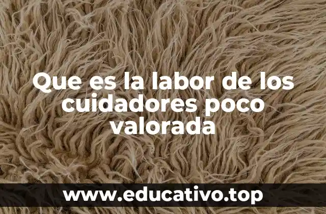 Que es la labor de los cuidadores poco valorada