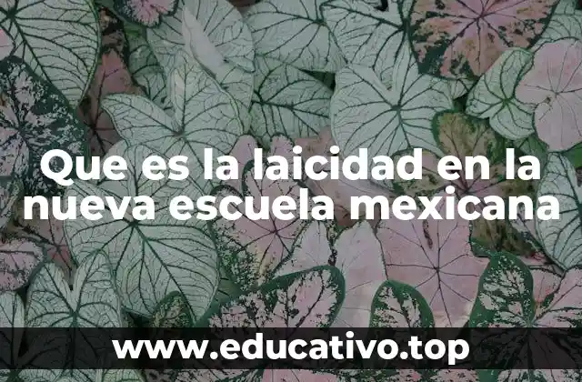 Que es la laicidad en la nueva escuela mexicana