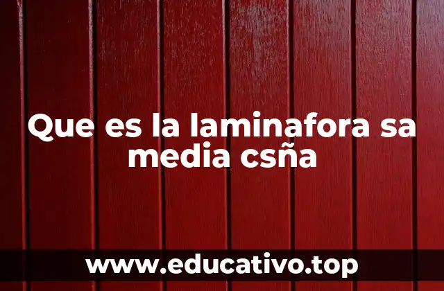 Que es la laminafora sa media csña
