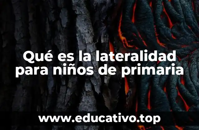 Qué es la lateralidad para niños de primaria