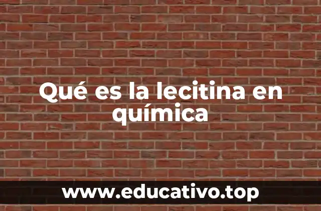 La importancia de los fosfolípidos en la química celular