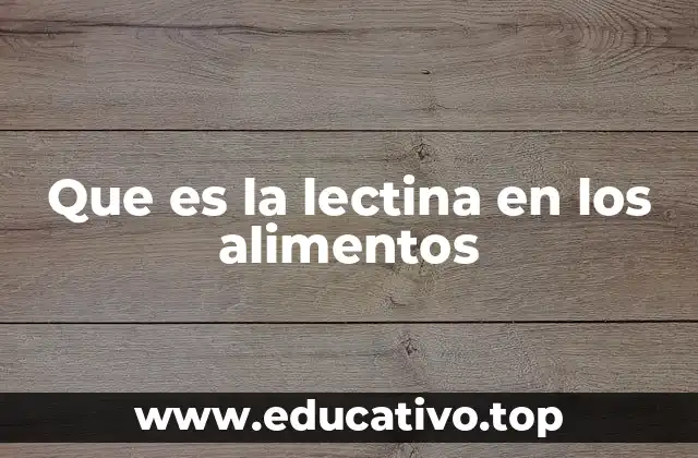 Que es la lectina en los alimentos