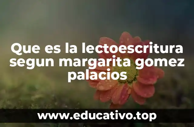Que es la lectoescritura segun margarita gomez palacios