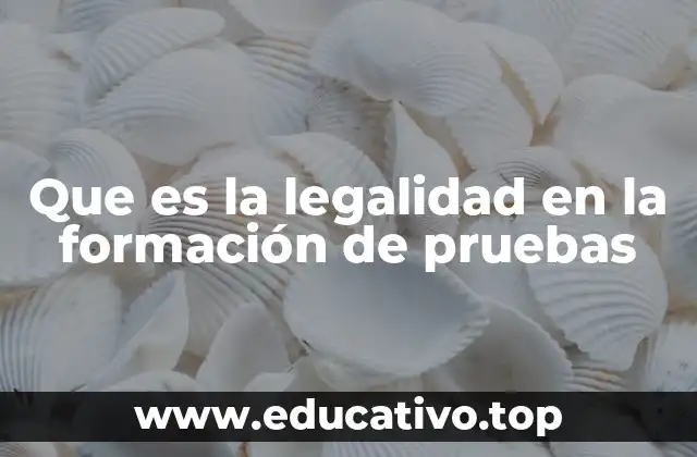 Que es la legalidad en la formación de pruebas