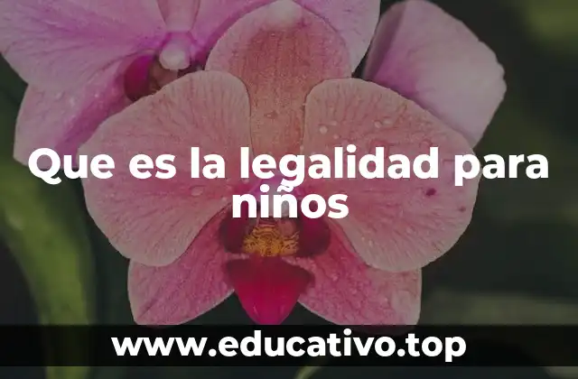 Que es la legalidad para niños