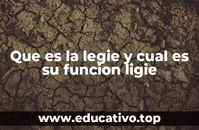 Que es la legie y cual es su funcion ligie