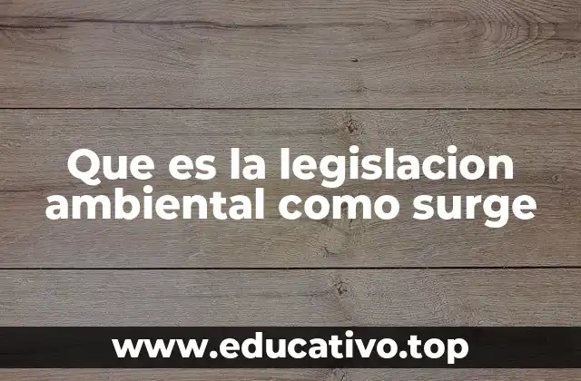 Que es la legislacion ambiental como surge