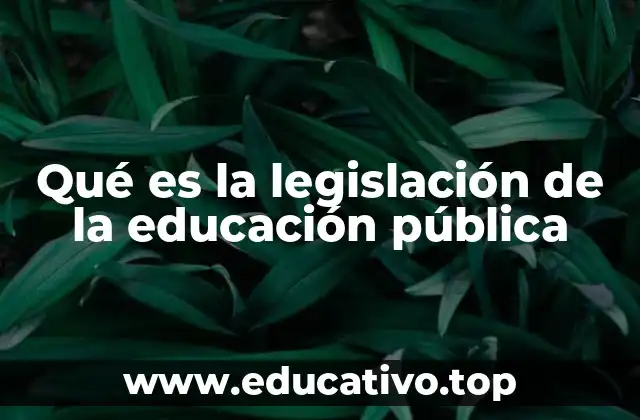 Qué es la legislación de la educación pública