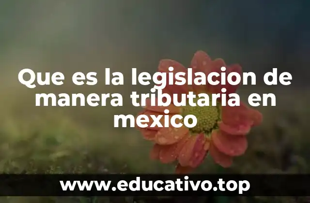 Que es la legislacion de manera tributaria en mexico