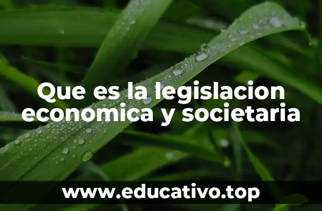 Que es la legislacion economica y societaria