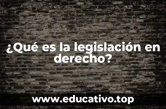 El papel de las normas jurídicas en la organización social