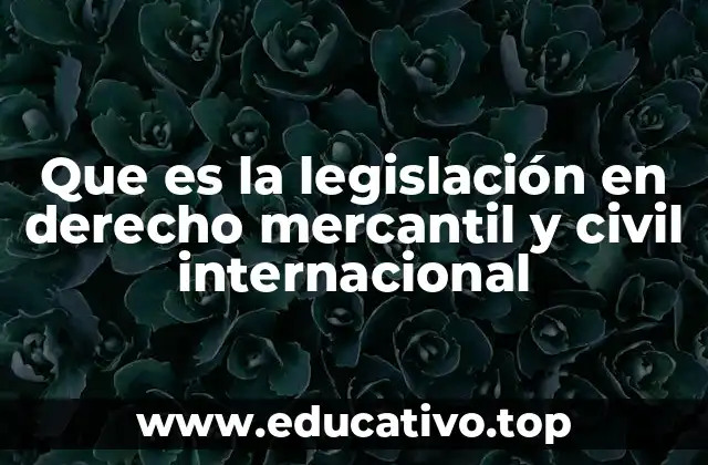 Que es la legislación en derecho mercantil y civil internacional