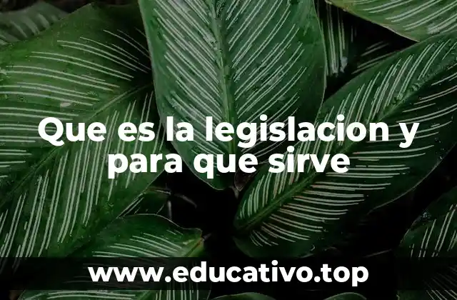 Que es la legislacion y para que sirve