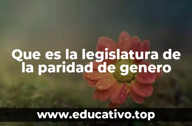 Que es la legislatura de la paridad de genero