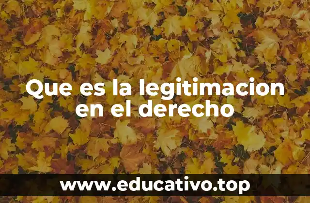 Que es la legitimacion en el derecho