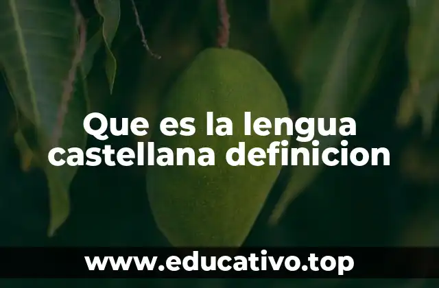 Que es la lengua castellana definicion