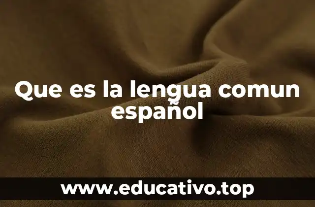 Que es la lengua comun español
