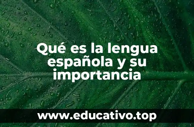 Qué es la lengua española y su importancia