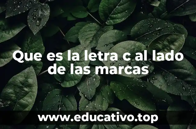 El símbolo de copyright en la era digital