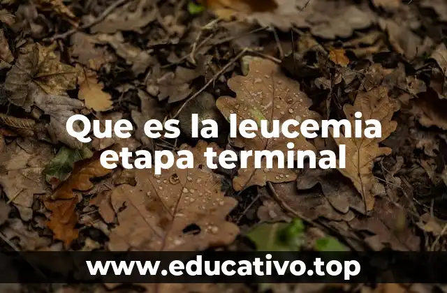 Que es la leucemia etapa terminal