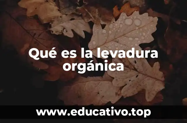 Qué es la levadura orgánica