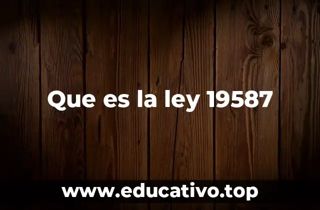 Que es la ley 19587