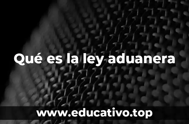 Qué es la ley aduanera
