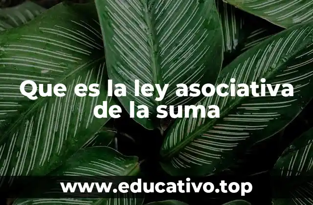 Que es la ley asociativa de la suma