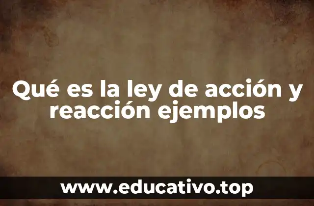 Qué es la ley de acción y reacción ejemplos