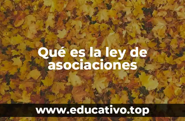 El derecho a la asociación y su regulación legal