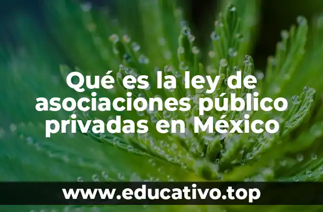 Qué es la ley de asociaciones público privadas en México