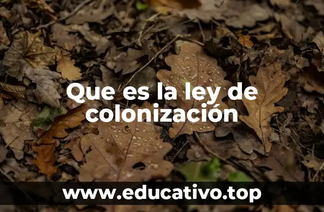 Que es la ley de colonización