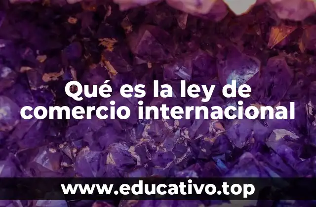 Qué es la ley de comercio internacional