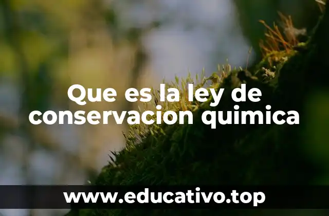 Que es la ley de conservacion quimica