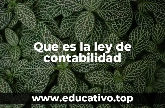 Que es la ley de contabilidad
