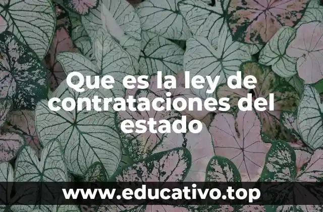 Que es la ley de contrataciones del estado