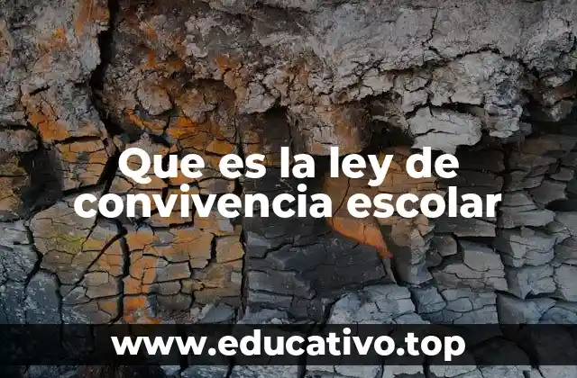 Que es la ley de convivencia escolar