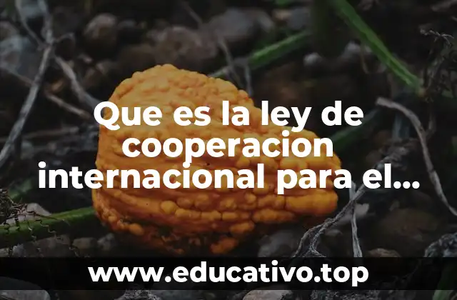 Que es la ley de cooperacion internacional para el desarrollo