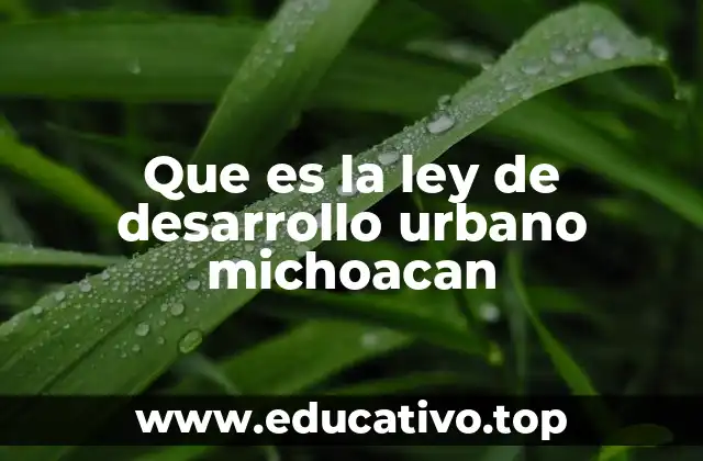 Que es la ley de desarrollo urbano michoacan
